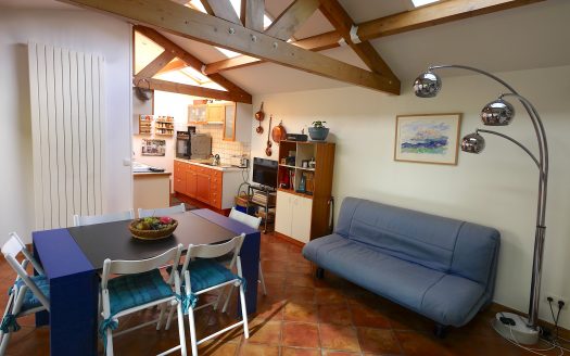 Viager Occupé avec Rente à BONNEUIL sur MARNE, proche SAINT MAUR des FOSSÉS (94)